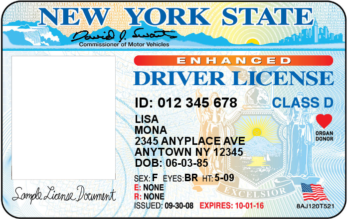 Document number drivers license ny
